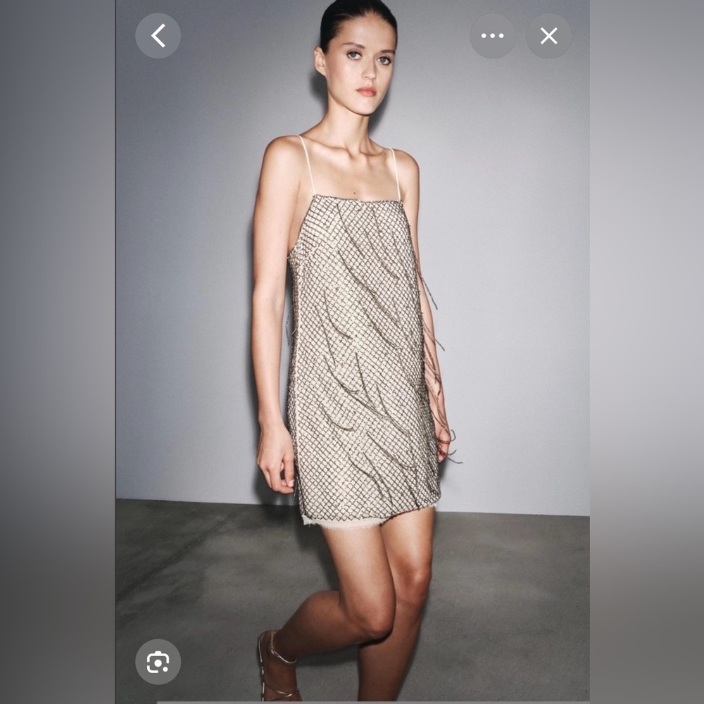 🔥🔥Zara beaded ZW collection dress